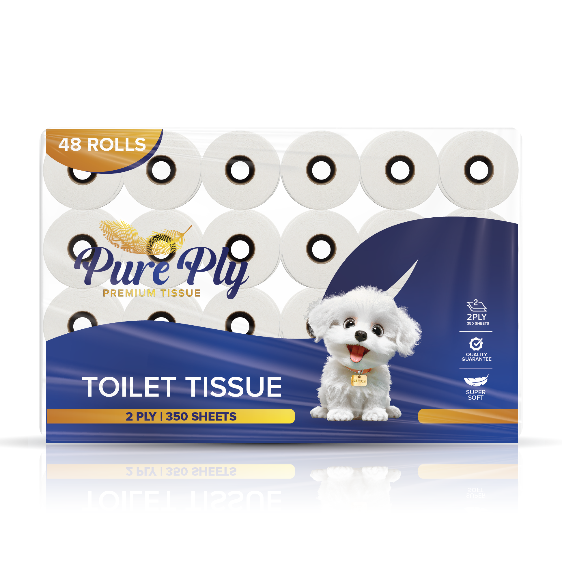 Pure_Ply_Mockups_18s,10s,48s_040725-01